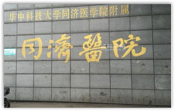 武汉同济医院发现动脉粥样硬化性疾病降脂治疗新靶点