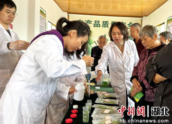 湖北咸宁：科普宣传进村庄，守护“舌尖上的安全”(图1)