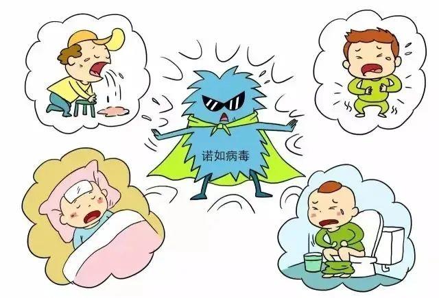 国家疾控部门提醒：诺如病毒已进入发病高峰期(图7)